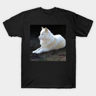 White wolf T-Shirt